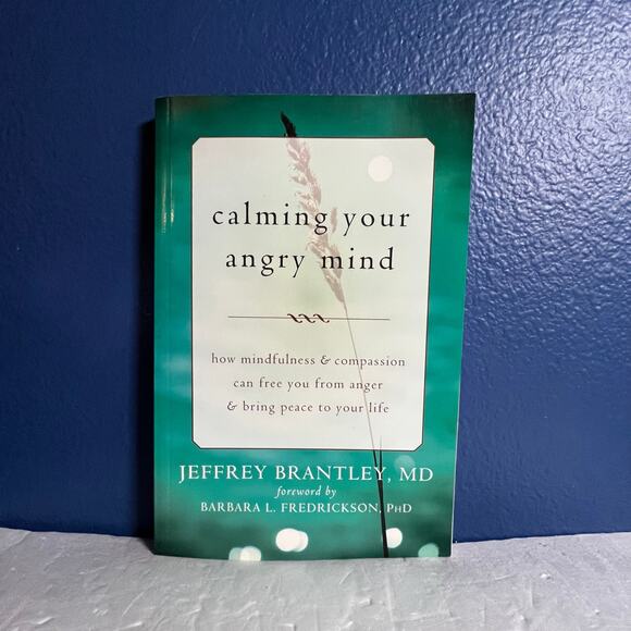 Calming Your Angry Mind: How Mindfulness & Compassion Can Free You from Anger - Picture 1 of 7